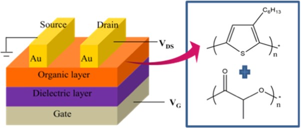Morphology and optoelectronic characteristics of organic field-effect transistors based on blends of polylactic acid and poly(3-hexylthiophene)