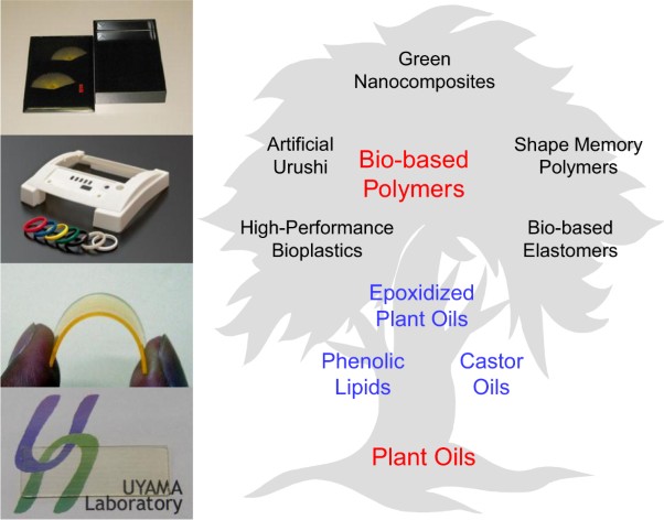 Functional polymers from renewable plant oils