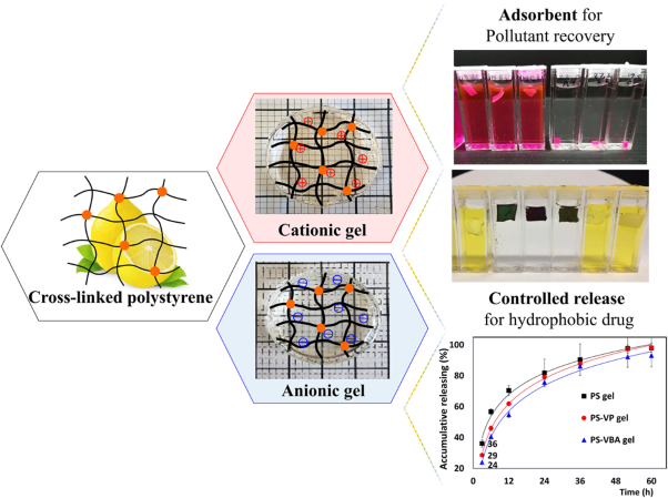 The electrostatic advantages of cross-linked polystyrene organogels swollen with limonene for selective adsorption and storage of hydrophobic drugs