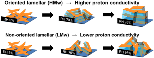 Lyotropic ordering for high proton conductivity in sulfonated semialiphatic polyimide thin films