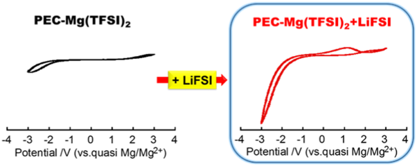 Effect of Li salt addition on electrochemical properties of poly(ethylene carbonate)-Mg salt electrolytes