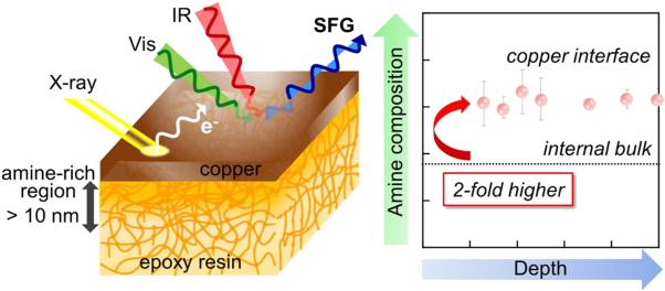 Segregation of an amine component in a model epoxy resin at a copper interface