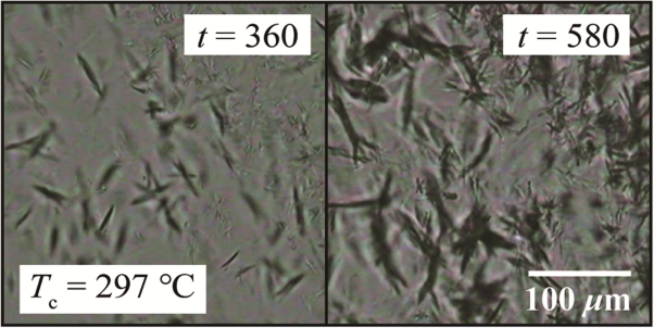 A study on the isothermal crystallization of poly(3-methylbutene-1)