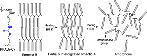 Smectic ordered structure and water repellency of a poly(fluoroalkyl acrylate) with a carbamate linker