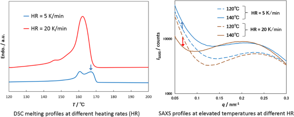 Melting behavior and structural and morphological changes of isotactic polypropylene from heat treatment