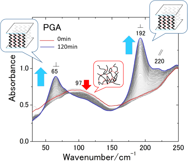 Isothermal crystallization of poly(glycolic acid) studied by terahertz and infrared spectroscopy and SAXS/WAXD simultaneous measurements