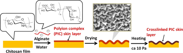 Polysaccharide-based wrinkled surfaces induced by polyion complex skin layers upon drying