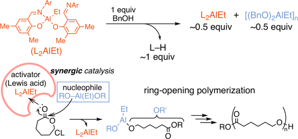 A synergic catalysis of (salicylaldiminate)<sub>2</sub>AlEt and (BnO)<sub>2</sub>AlEt in the ring-opening polymerization of ε-caprolactone