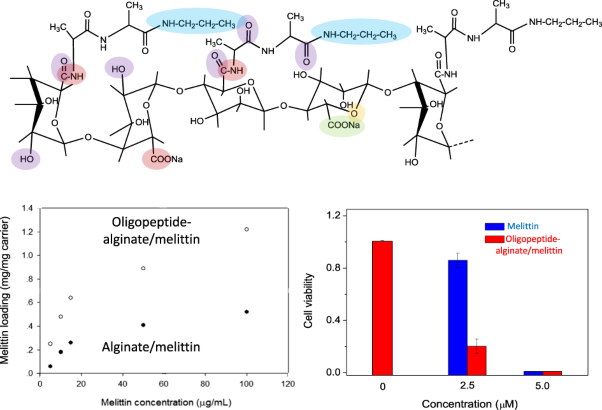 Oligopeptide-side chained alginate nanocarrier for melittin-targeted chemotherapy