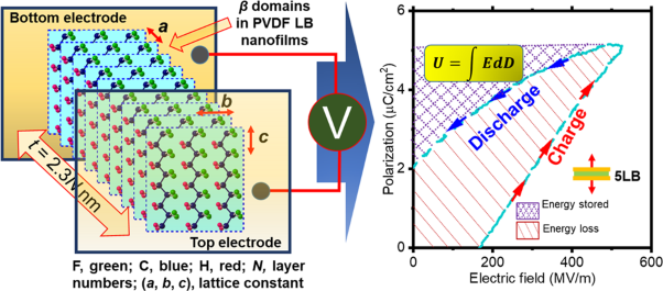 Energy storage behaviors in ferroelectric capacitors fabricated with sub-50 nm poly(vinylidene fluoride) Langmuir–Blodgett nanofilms