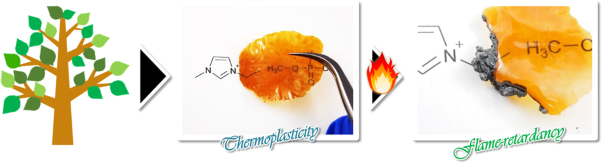 Flame-retardant plant thermoplastics directly prepared by single ionic liquid substitution