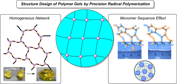 Structural design of vinyl polymer hydrogels utilizing precision radical polymerization