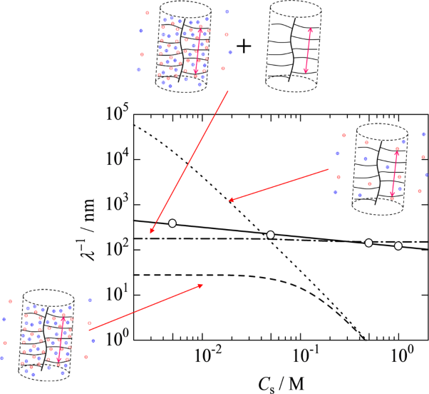Dimensional properties of brush-like polymers with sodium Poly(styrene sulfonate) side chains