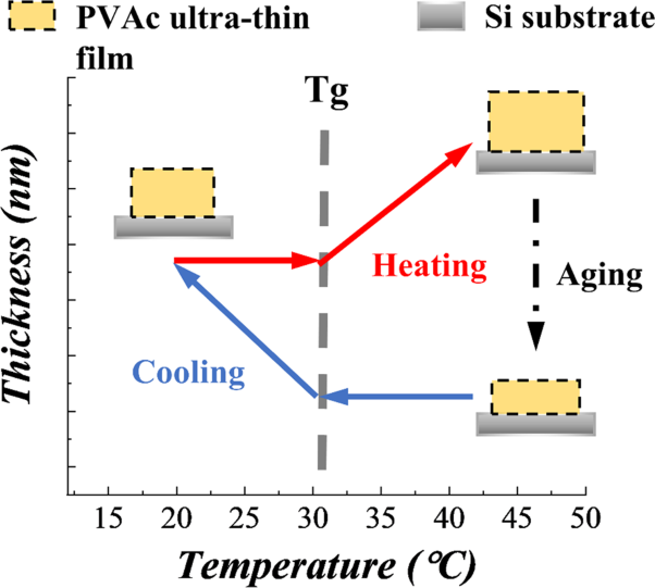 Slow dynamics in thermal expansion of polyvinyl acetate thin film with interface layer