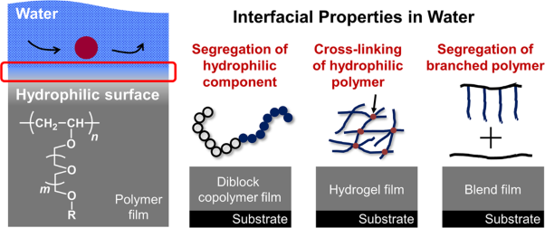 Construction of hydrophilic surfaces with poly(vinyl ether)s and their interfacial properties in water
