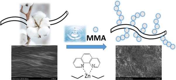 Chemical modification of cotton by methyl methacrylate via emulsion polymerization