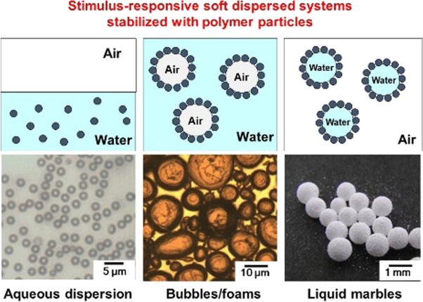 Stimulus-responsive soft dispersed systems developed based on functional polymer particles: bubbles and liquid marbles