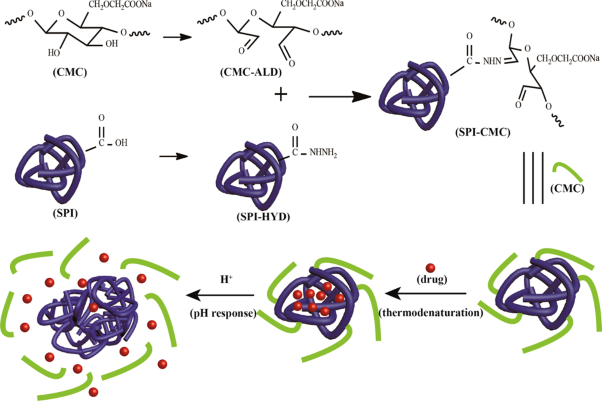 Hydrazone-linked soybean protein isolate-carboxymethyl cellulose conjugates for pH-responsive controlled release of pesticides