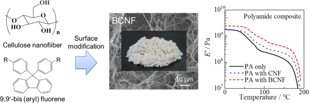 Reinforcement of polyamide 6/66 with a 9,9′-bis(aryl)fluorene-modified cellulose nanofiber