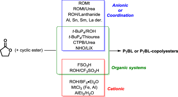 Ring-opening (co)polymerization of <i>γ</i>-butyrolactone: a review