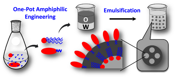 One-pot amphiphilic engineering of bioresorbable polymers for constructing colloidal vesicles and prolonging protein delivery