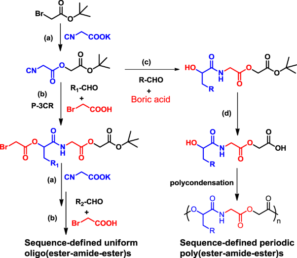 Sequence-defined oligo/poly(ester-amide-ester)s via an orthogonal nucleophilic substitution reaction and a Passerini reaction