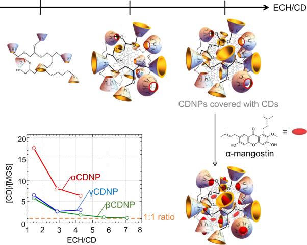 Cyclodextrin-based nanoparticles encapsulating α-mangostin and their drug release behavior: potential carriers of α-mangostin for cancer therapy