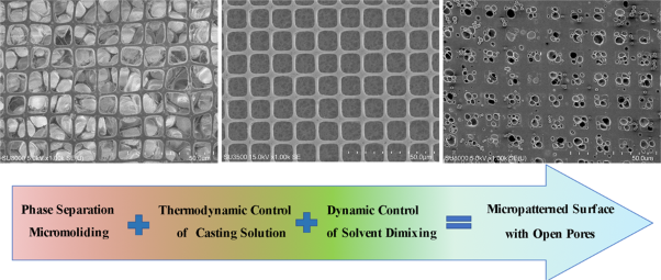Fine-tuning of the surface porosity of micropatterned polyethersulfone membranes prepared by phase separation micromolding