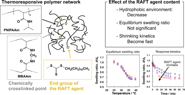 Structure and properties of thermoresponsive gels formed by RAFT polymerization: effect of the RAFT agent content