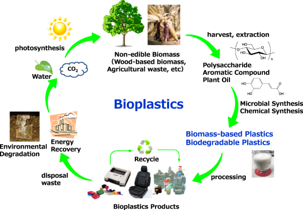 Recent developments in microbial polyester fiber and polysaccharide ester derivative research