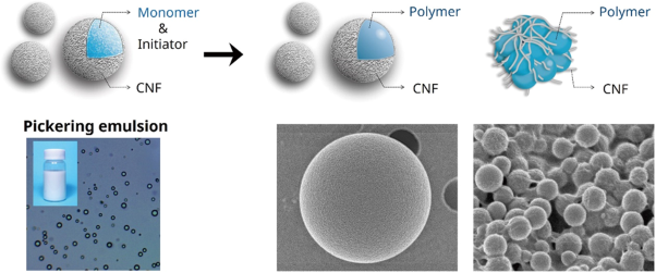 Material design of nanocellulose/polymer composites via Pickering emulsion templating