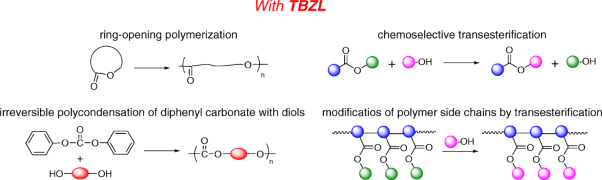 Chemoselective transesterification and polymer synthesis using a zincate complex