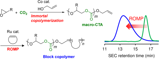 Polycarbonate-<i>block</i>-polycycloalkenes via epoxide/carbon dioxide copolymerization and ring-opening metathesis polymerization