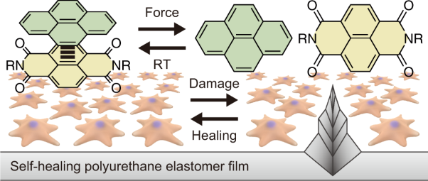 Self-healing polyurethane elastomers based on charge-transfer interactions for biomedical applications