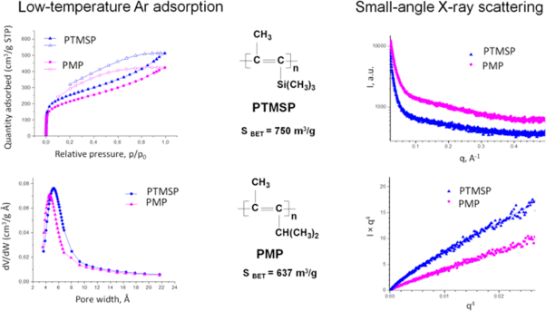 Investigation of the microporous organization of 1,2-disubstituted polyacetylenes using low-temperature argon sorption and small-angle X-ray scattering