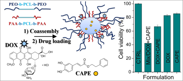 Mixed micellar system for codelivery of doxorubicin and caffeic acid phenethyl ester: design and enhanced antitumor activity