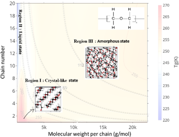 Molecular-weight and cooling-rate dependence of polymer thermodynamics in molecular dynamics simulation