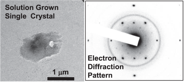 Crystallization of isotactic poly(<i>N</i>,<i>N</i>-diethyl acrylamide) synthesized by ytterbium triflate/H<sub>2</sub>O-catalyzed stereoselective radical polymerization