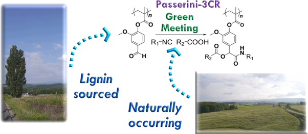 Polymers of lignin-sourced components as a facile chemical integrant for the Passerini three-component reaction
