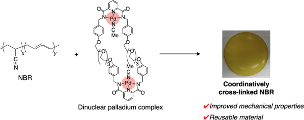 Coordinative cross-linking of acrylonitrile–butadiene rubber with a macrocyclic dinuclear palladium complex