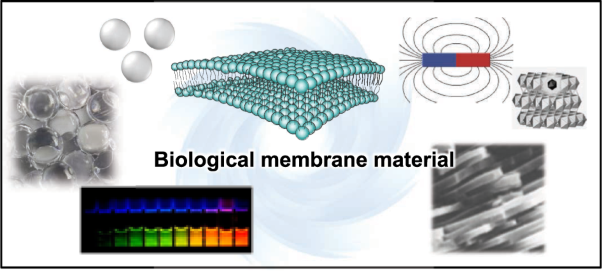 Design and function of smart biomembrane nanohybrids for biomedical applications: review