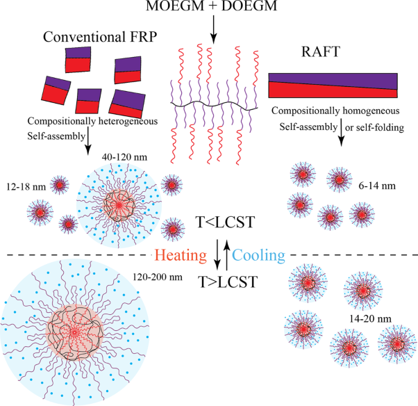 Amphiphilic thermoresponsive copolymer bottlebrushes: synthesis, characterization, and study of their self-assembly into flower-like micelles