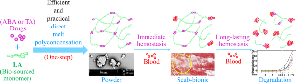 Efficient synthesis, characterization, and application of biobased scab-bionic hemostatic polymers