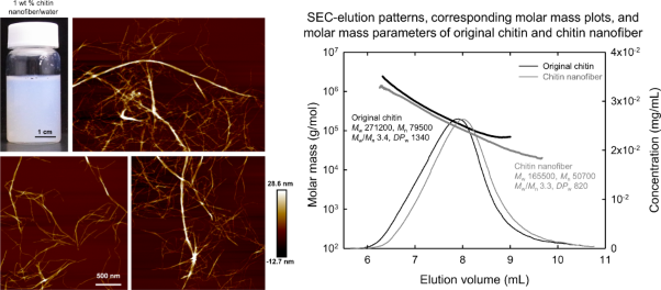 Structural changes in α-chitin through nanofibrillation by high-pressure homogenization in water