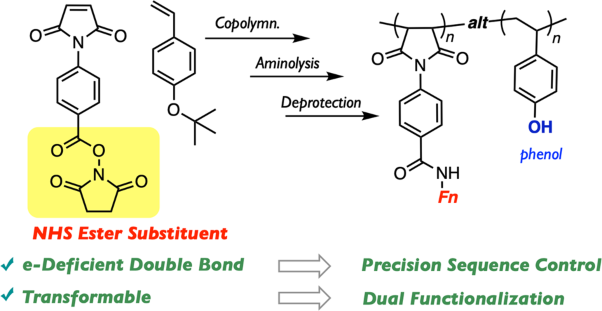 Design of a maleimide monomer to achieve precise sequence control and functionalization for an alternating copolymer with vinylphenol
