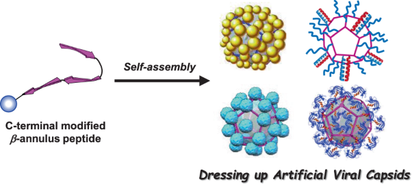 Dressing up artificial viral capsids self-assembled from C-terminal-modified β-annulus peptides