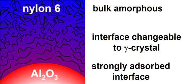 Interfacial phase of nylon 6 strongly adsorbed on alumina particles