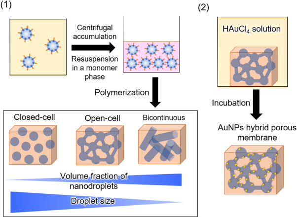 Creation of porous polymeric membranes by accumulation of water nanodroplets in a miniemulsion system