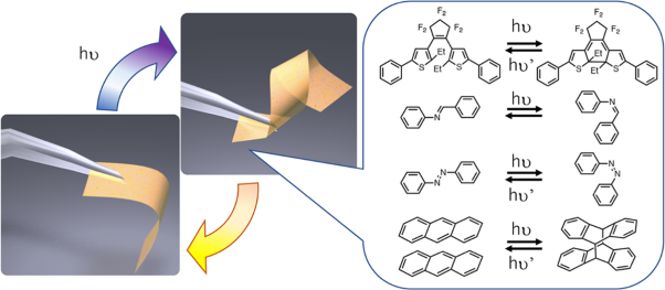 Photomechanical materials driven by photoisomerization or photodimerization