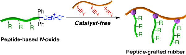 Nitrile <i>N</i>-oxide-terminated poly(γ-benzyl <span class="small-caps u-small-caps">l</span>-glutamate) (PBLG): synthesis and catalyst-free grafting onto polybutadiene (PBD) and natural rubber (NR)